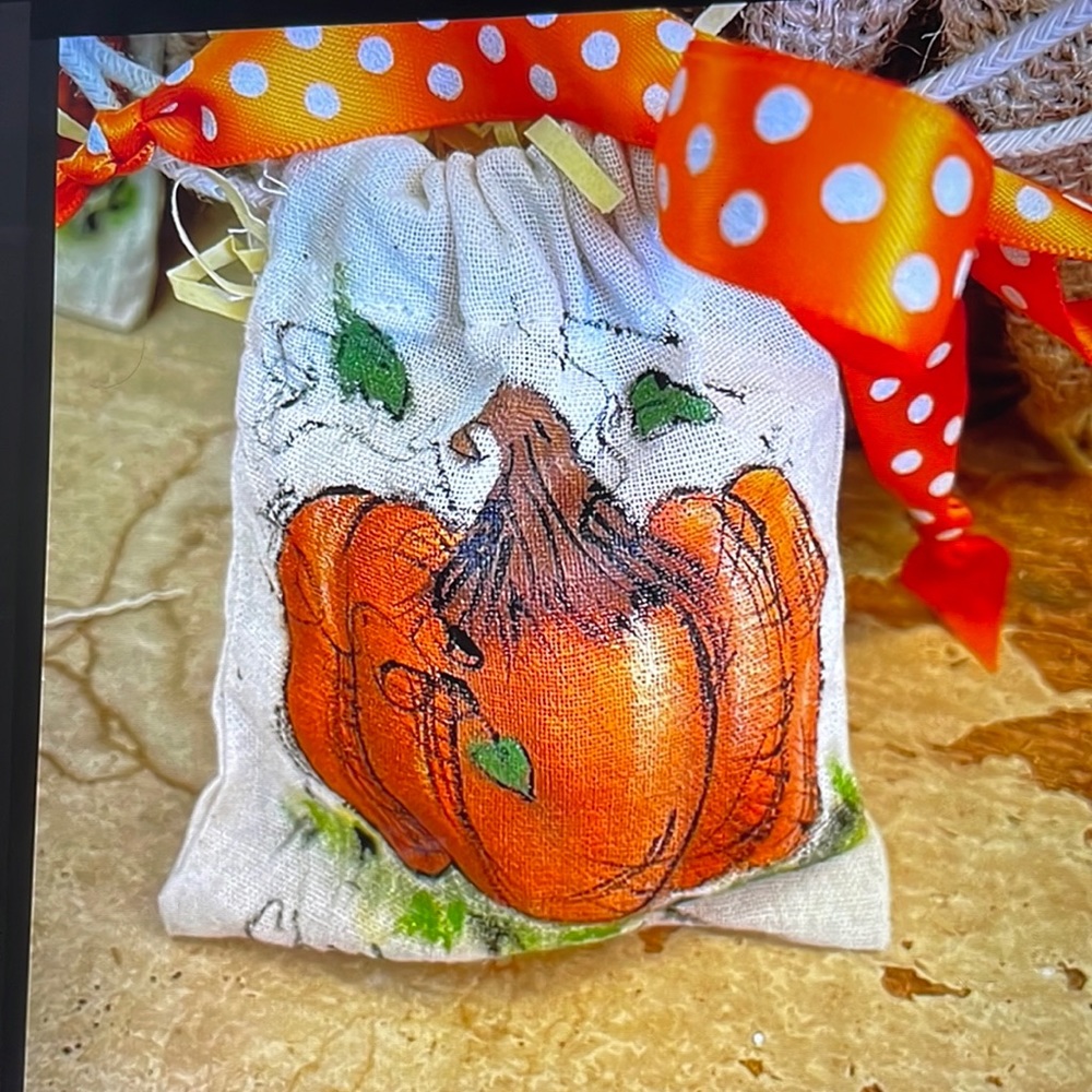 Pumpkin Treat bag, hand painted